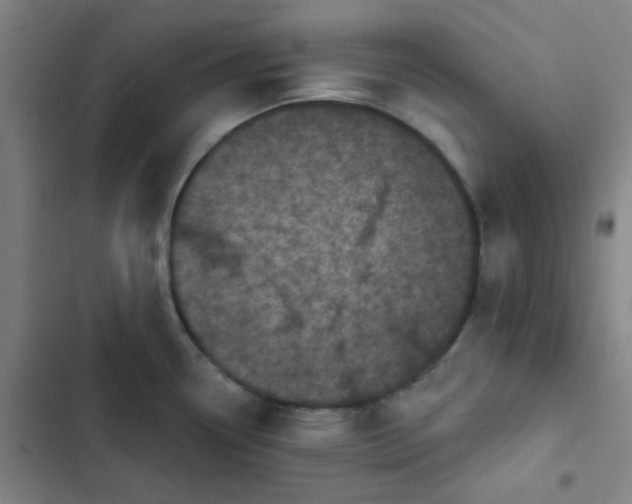 X0000102461338200808221610