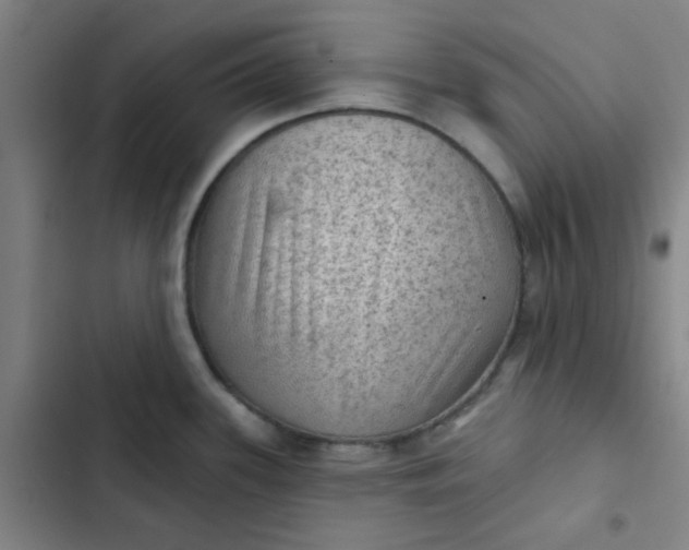 X0000102461339200808221610