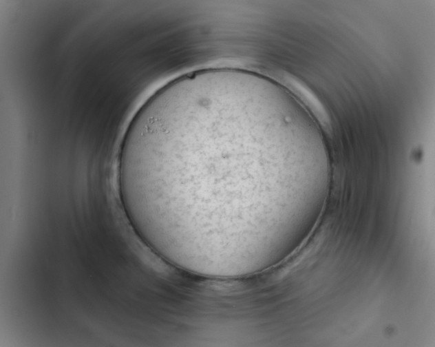 X0000102461340200808221610