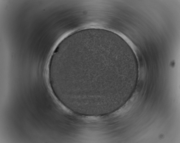 X0000102461341200808221610