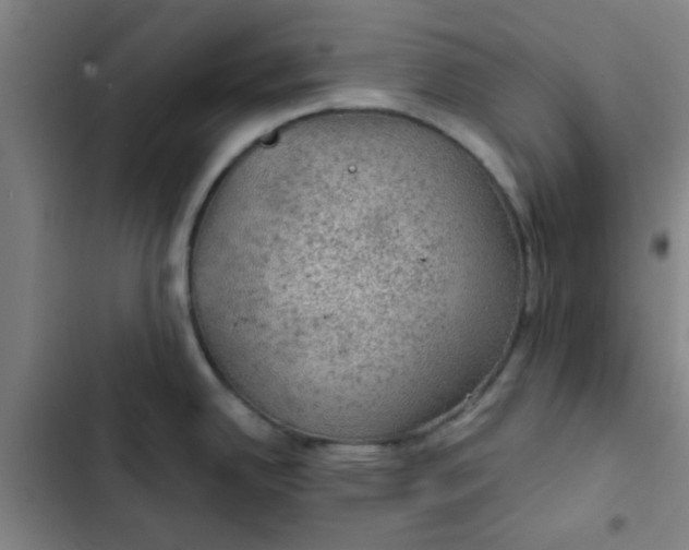 X0000102461342200808221610