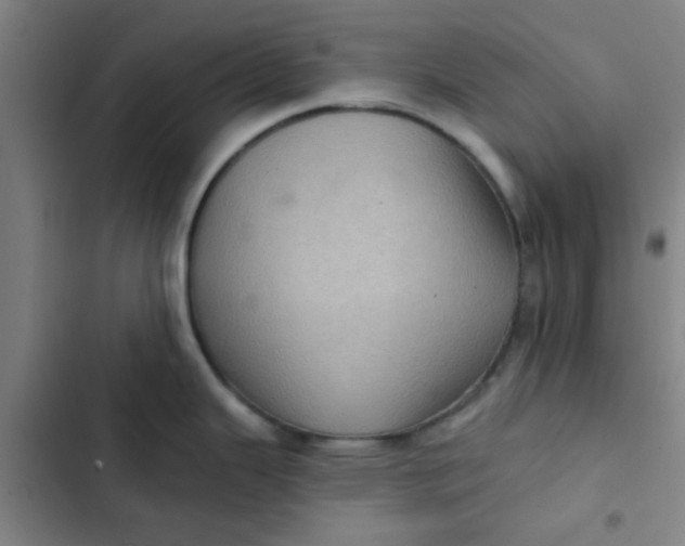 X0000102461343200808221610