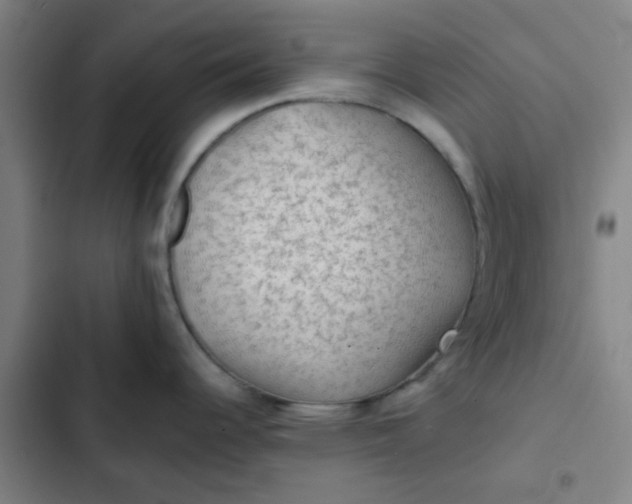 X0000102461344200808221610