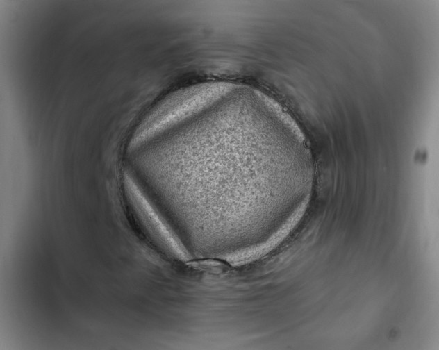 X0000102461345200808221609