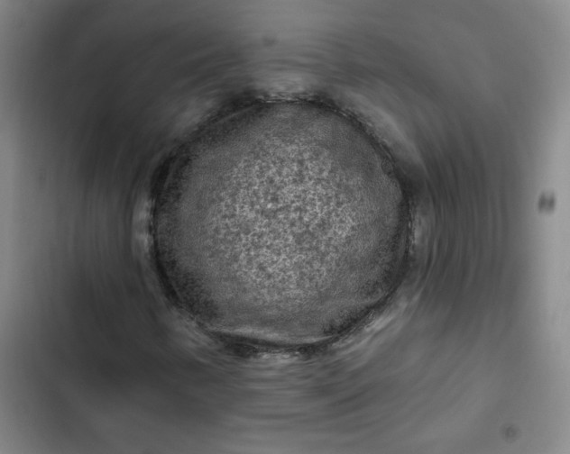 X0000102461346200808221609