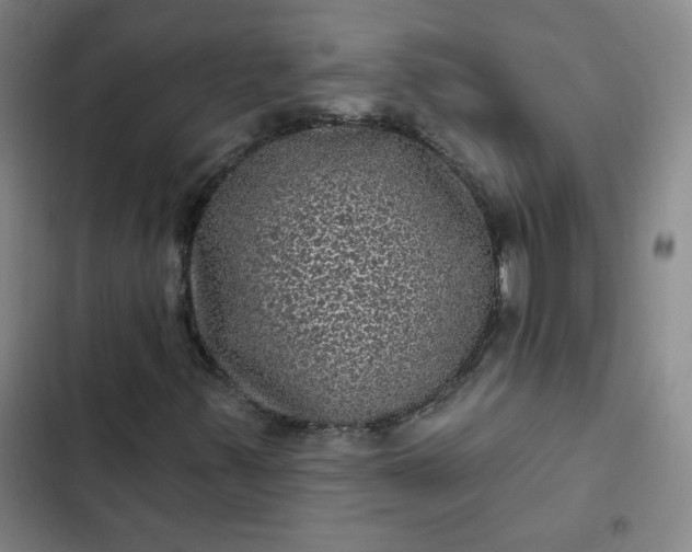 X0000102461347200808221609