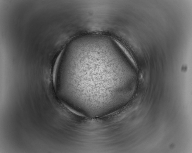 X0000102461348200808221609