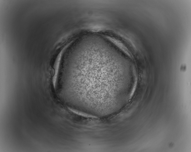 X0000102461349200808221609