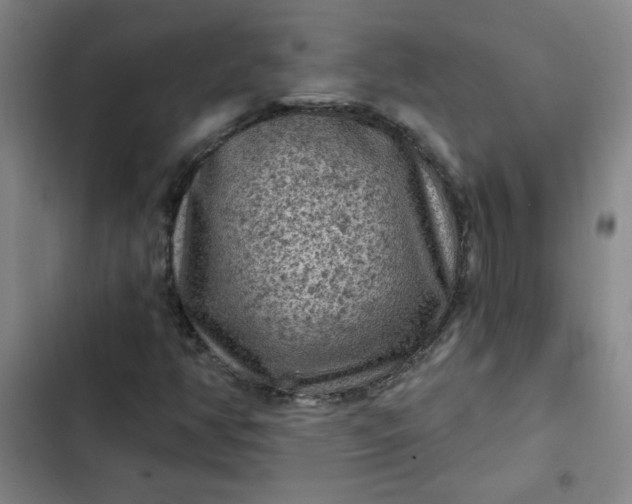 X0000102461350200808221609