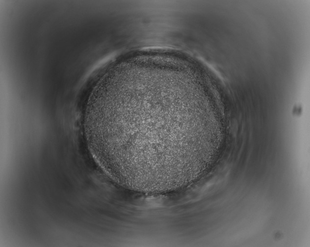 X0000102461351200808221609