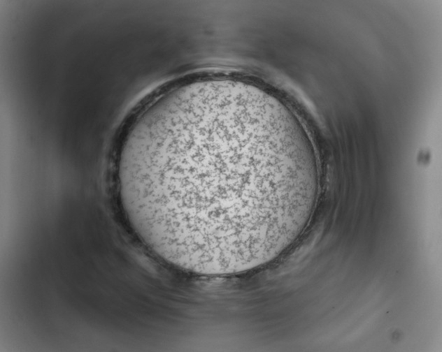 X0000102461352200808221609