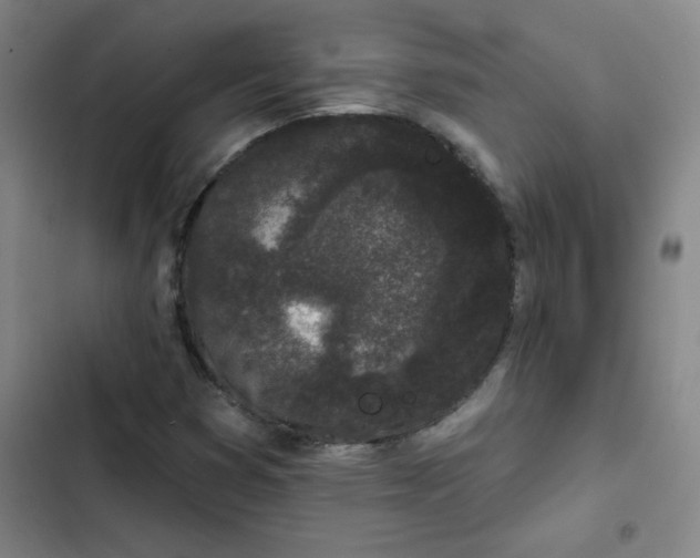 X0000102461353200808221609