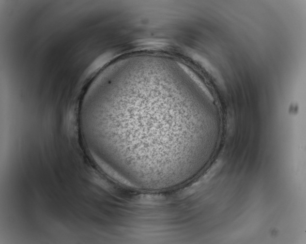 X0000102461354200808221609