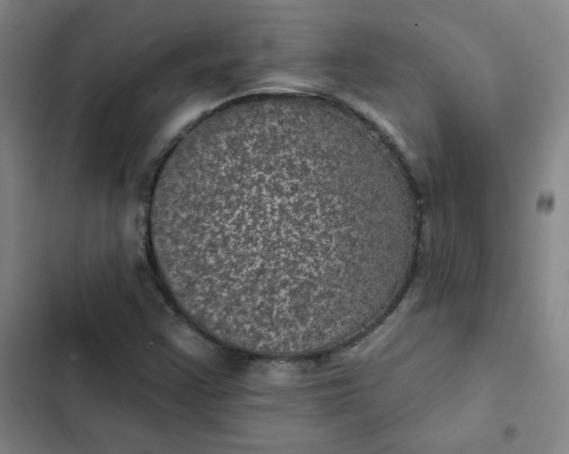 X0000102461355200808221609