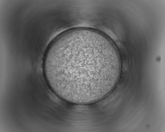 X0000102461356200808221609