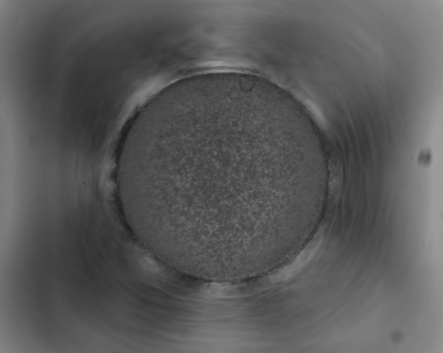 X0000102461357200808221609