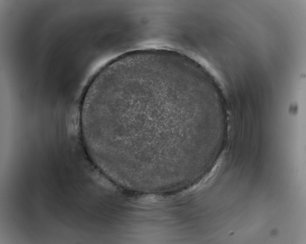 X0000102461358200808221609