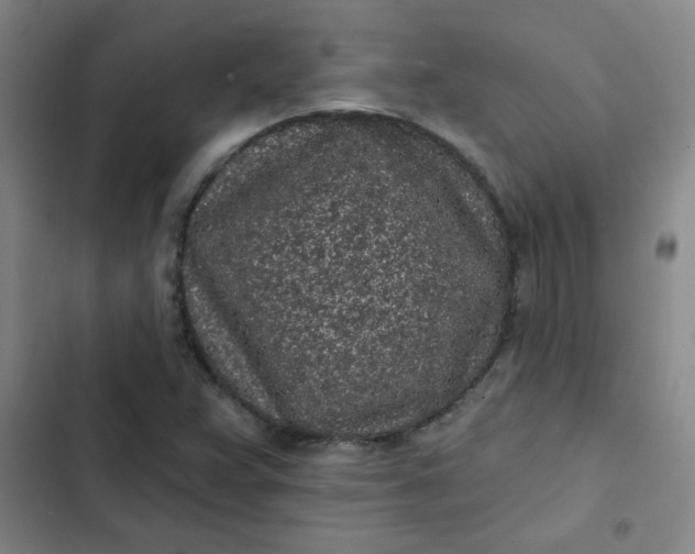 X0000102461359200808221609