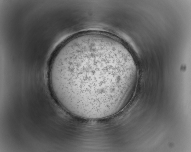 X0000102461360200808221609