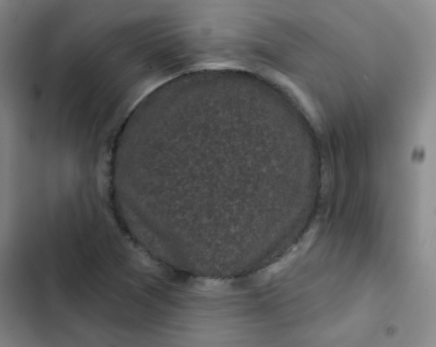 X0000102461361200808221609