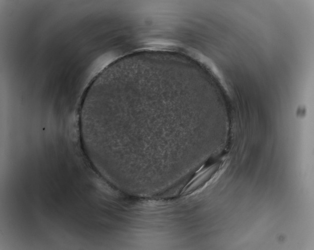 X0000102461362200808221609