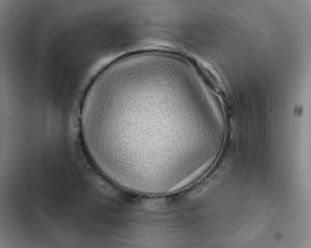 X0000102461363200808221609