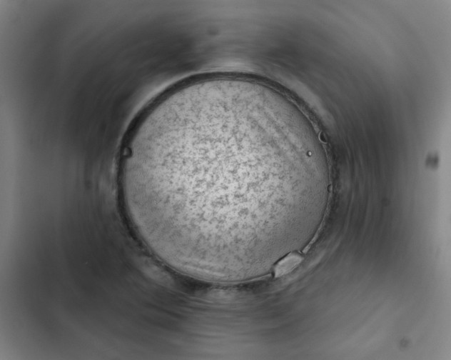 X0000102461364200808221609