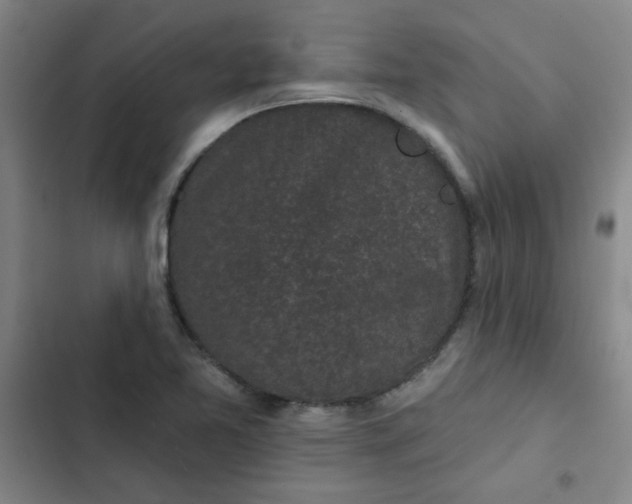 X0000102461365200808221609