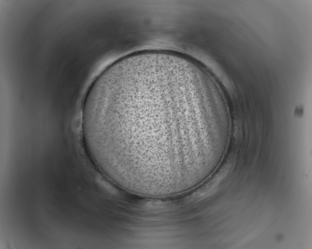 X0000102461366200808221609