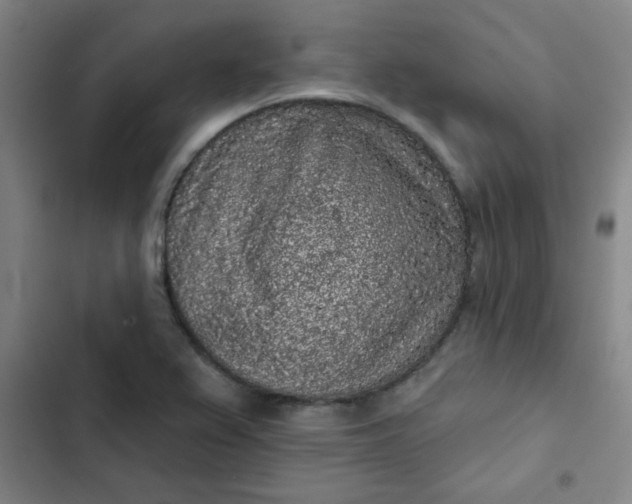 X0000102461367200808221609