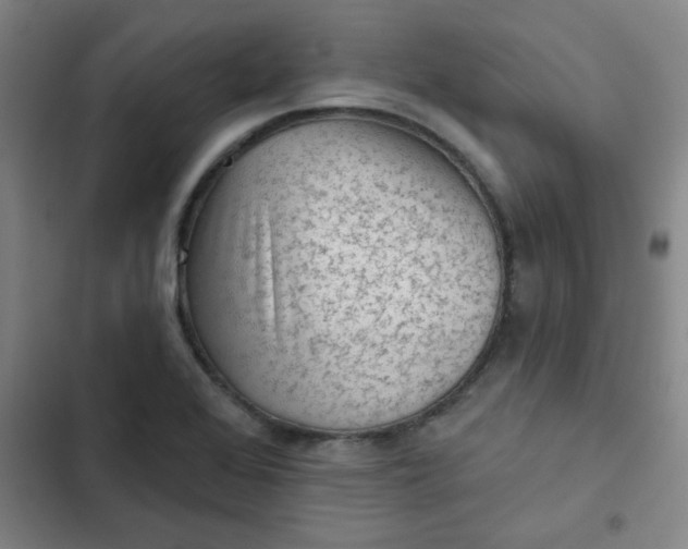 X0000102461368200808221609