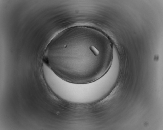 X0000102461369200808221609