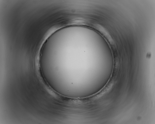 X0000102461370200808221609