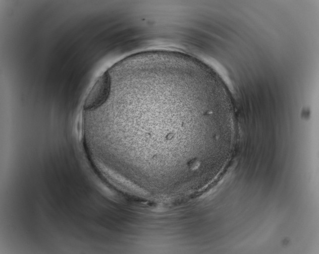 X0000102461371200808221609