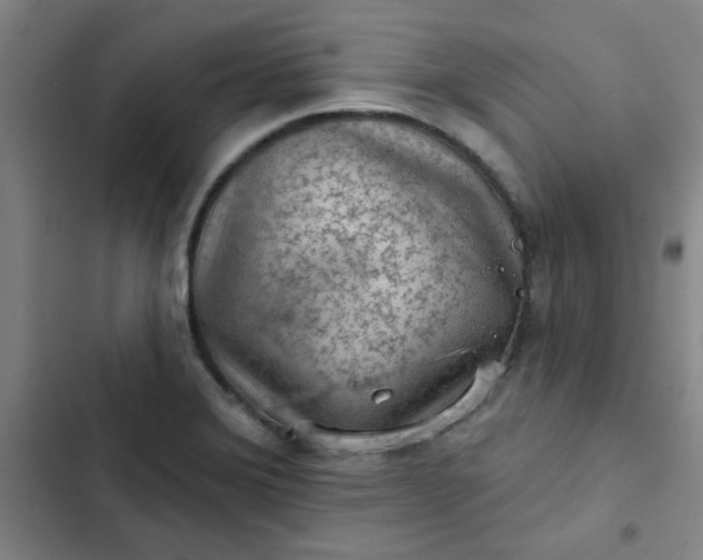 X0000102461372200808221609