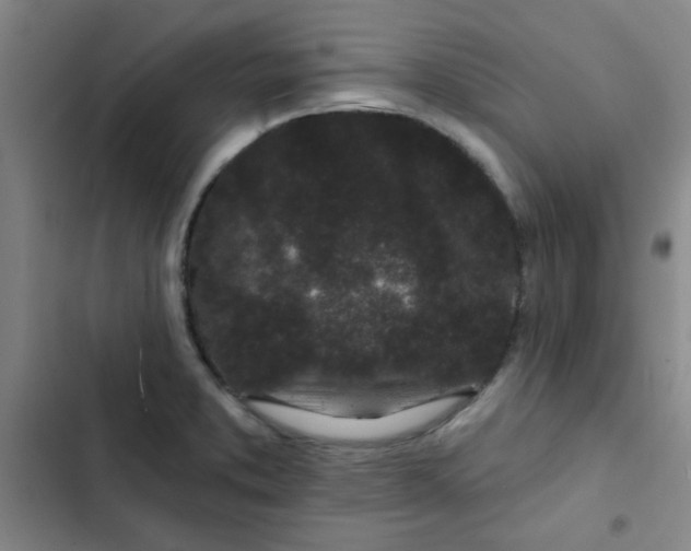 X0000102461373200808221609