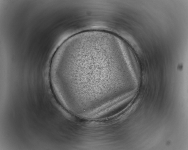 X0000102461374200808221609