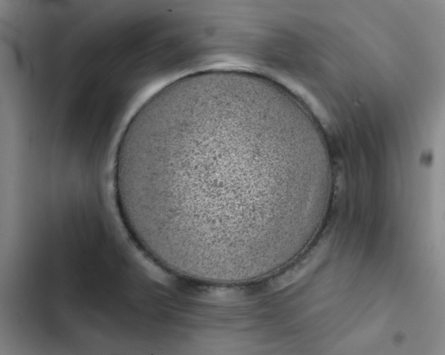 X0000102461375200808221609