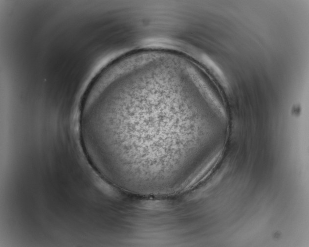 X0000102461376200808221609