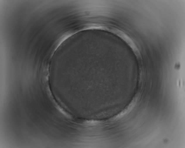 X0000102461377200808221609