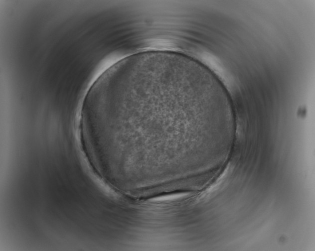 X0000102461378200808221609