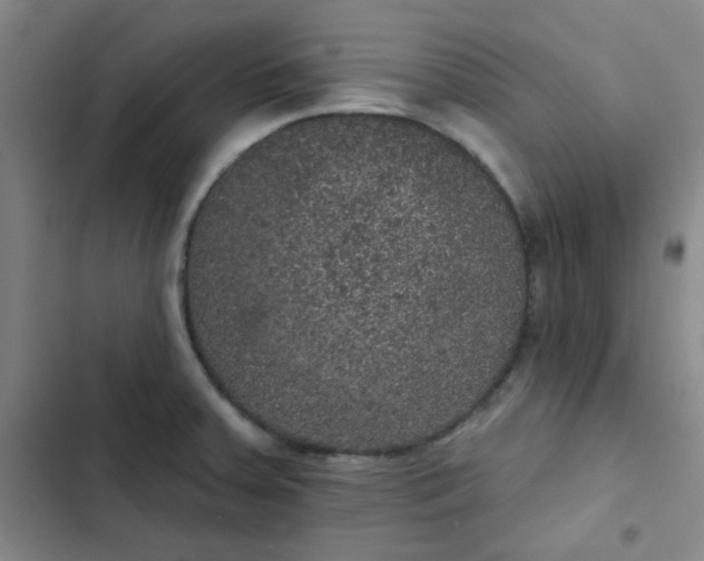 X0000102461379200808221609