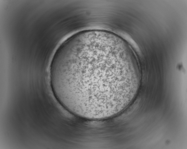 X0000102461380200808221608