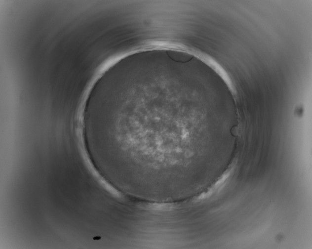 X0000102461381200808221608