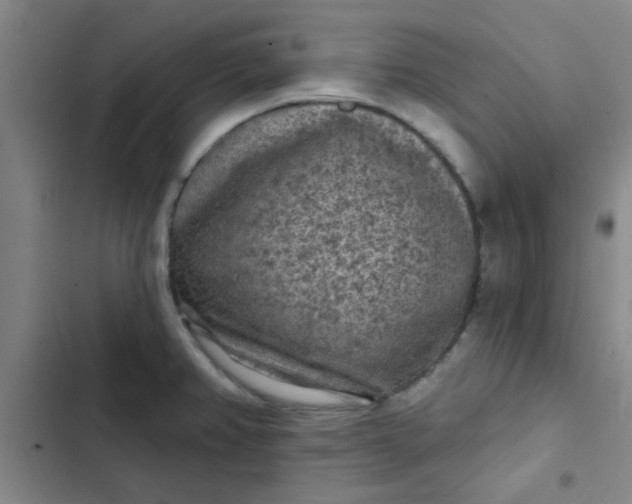 X0000102461382200808221608