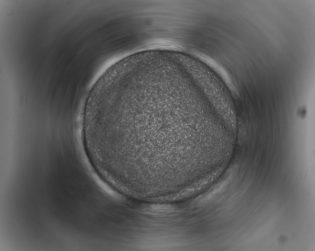 X0000102461383200808221608