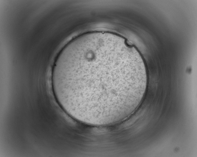 X0000102461384200808221608