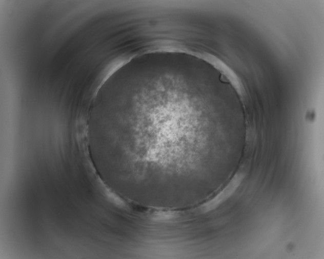 X0000102461385200808221608