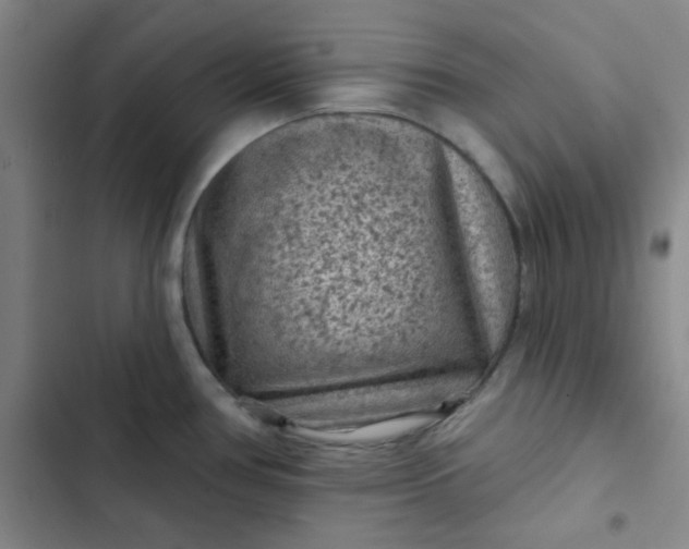 X0000102461386200808221608