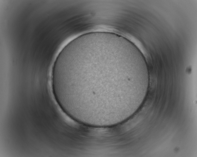 X0000102461387200808221608